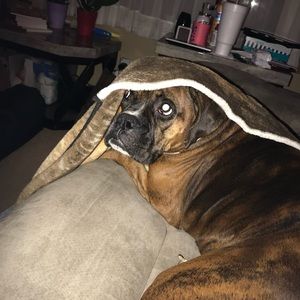 Meet your Posher, Carol